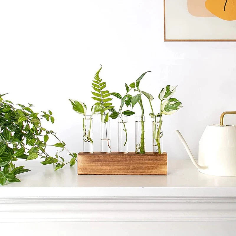JERLIN™ Hydroponic Planter – Wooden Stand with Test Tube Vases -