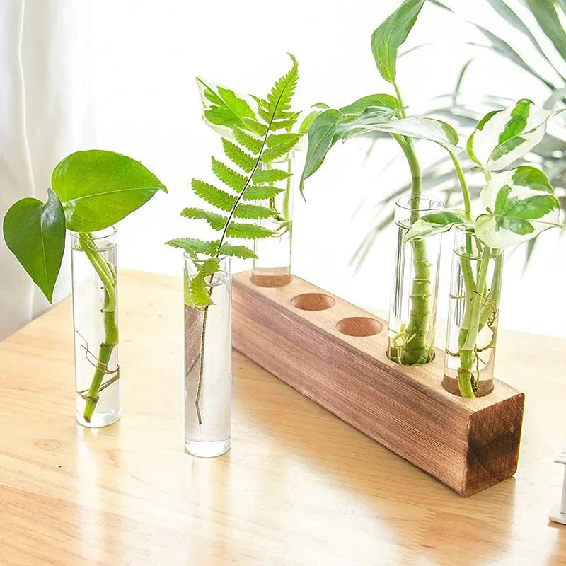 JERLIN™ Hydroponic Planter – Wooden Stand with Test Tube Vases -