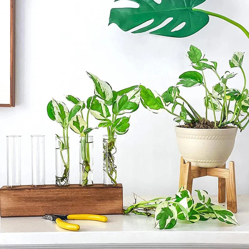 JERLIN™ Hydroponic Planter – Wooden Stand with Test Tube Vases -