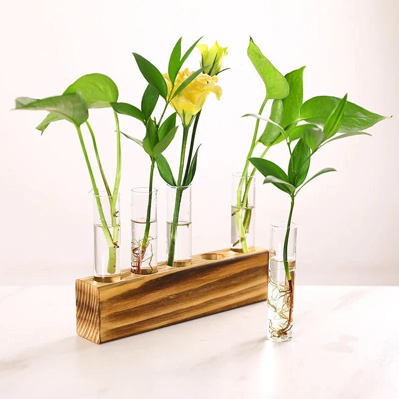 JERLIN™ Hydroponic Planter – Wooden Stand with Test Tube Vases -