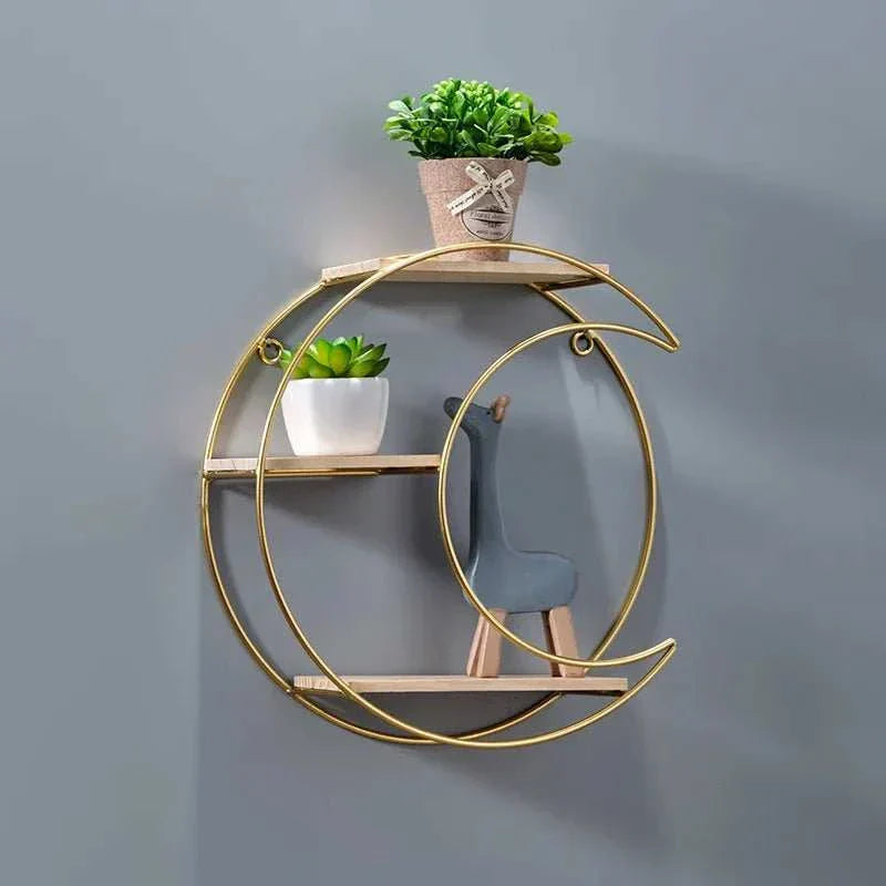 Hanging round metal wall shelf with circular design and plants for storage.