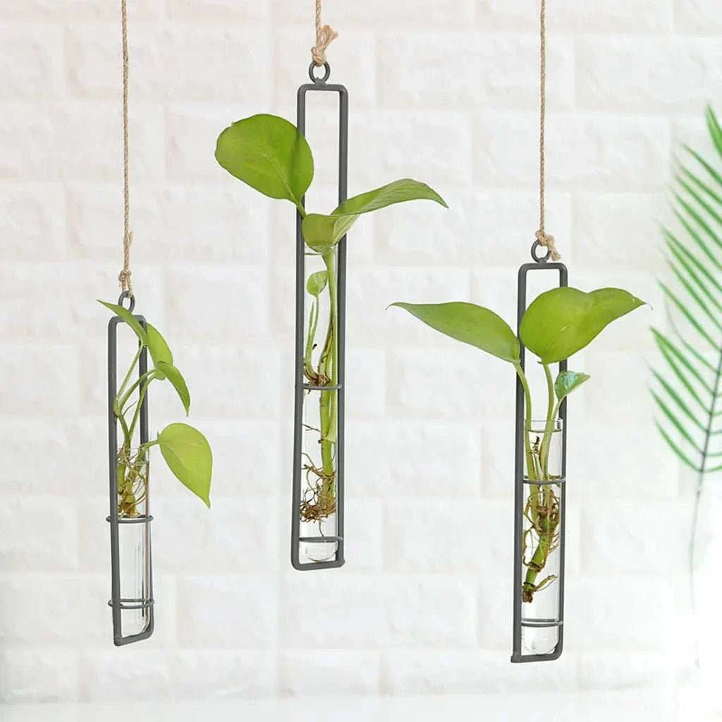 CYCLE™ Wall Planter – Test Tube Vases with Vertical Mount - 
