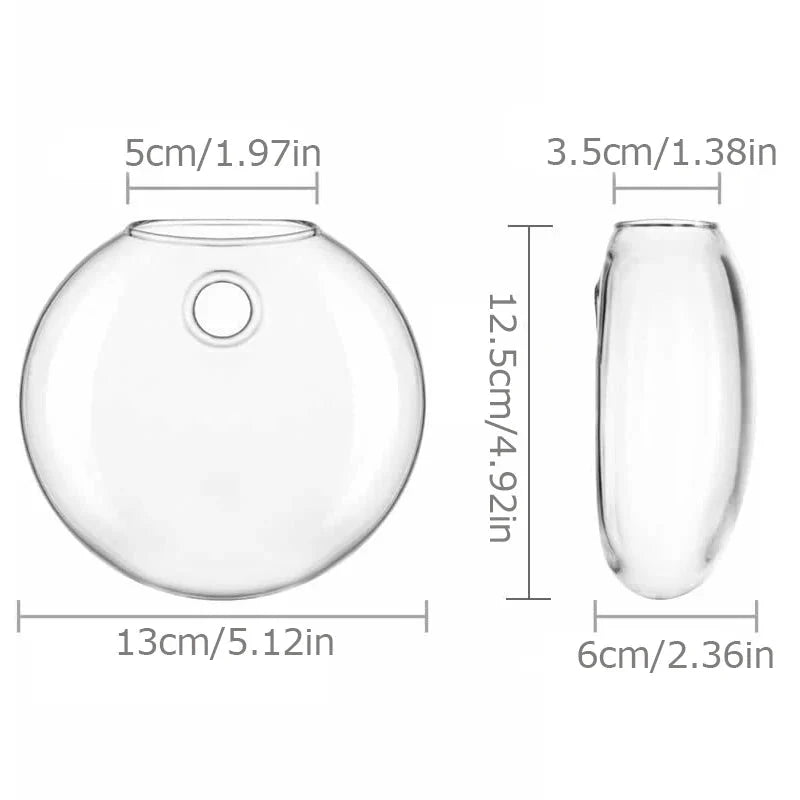 GLASSIO™ Wall Vase – Clear Hydroponic Planter for Indoor Plants - 