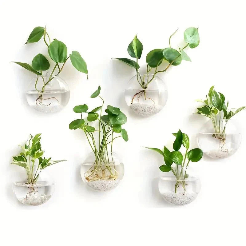 GLASSIO™ Wall Vase – Clear Hydroponic Planter for Indoor Plants - 