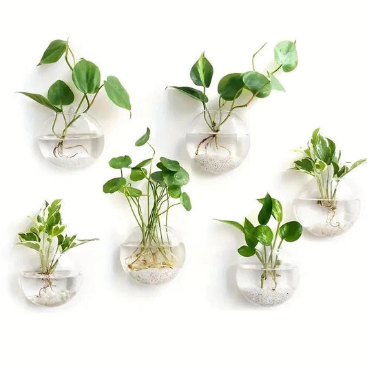 GLASSIO™ Wall Vase – Clear Hydroponic Planter for Indoor Plants - 