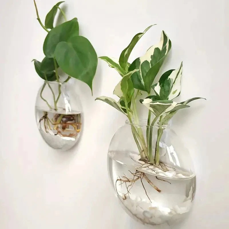 GLASSIO™ Wall Vase – Clear Hydroponic Planter for Indoor Plants - 