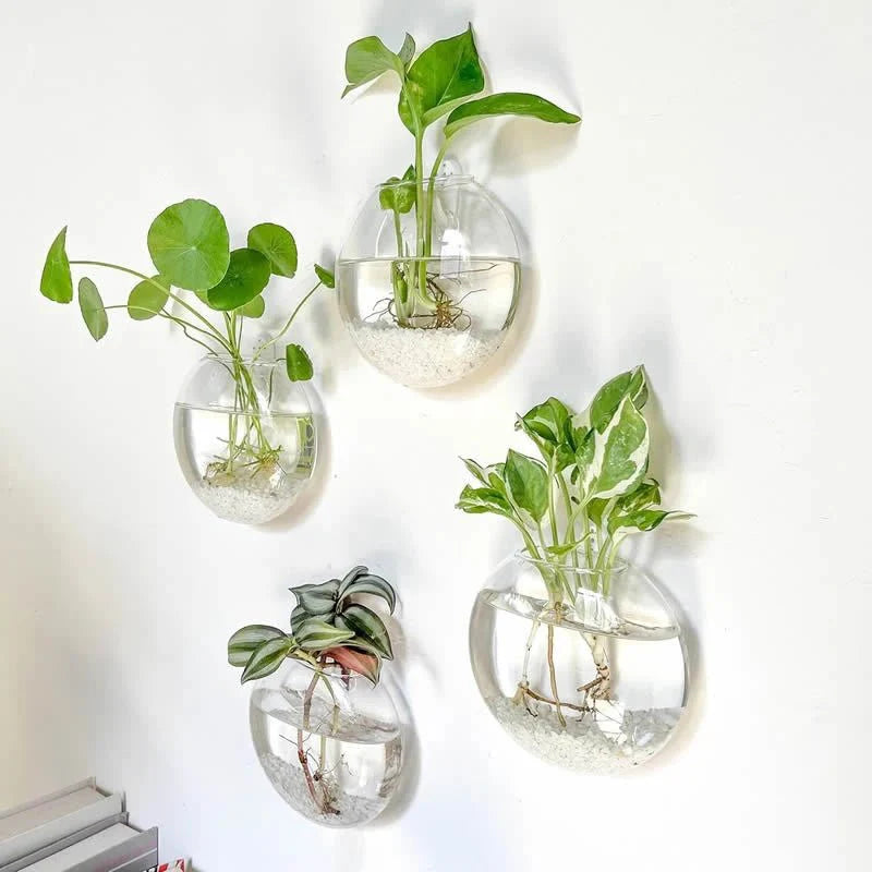 GLASSIO™ Wall Vase – Clear Hydroponic Planter for Indoor Plants - 