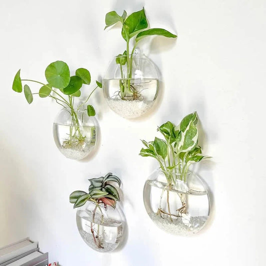GLASSIO™ Wall Vase – Clear Hydroponic Planter for Indoor Plants - 