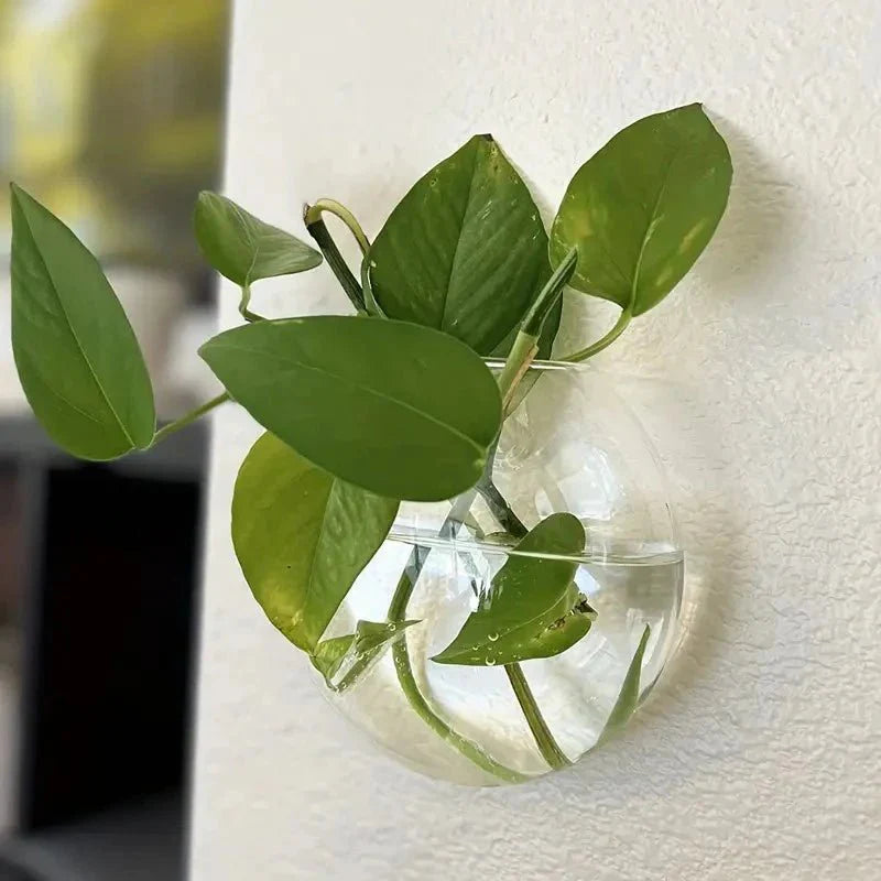 GLASSIO™ Wall Vase – Clear Hydroponic Planter for Indoor Plants - 