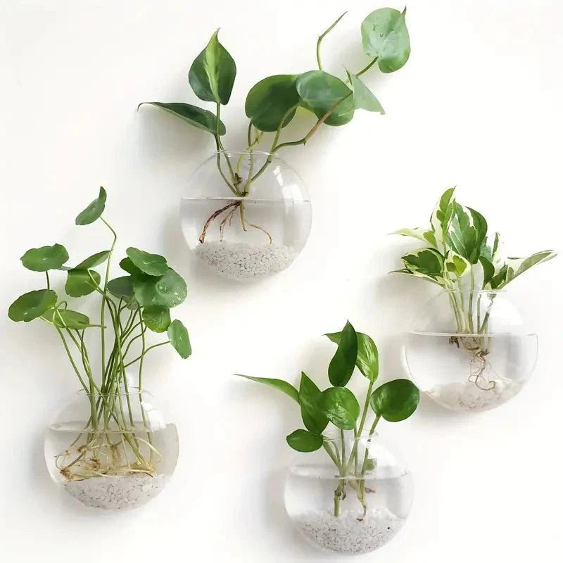 GLASSIO™ Wall Vase – Clear Hydroponic Planter for Indoor Plants - 