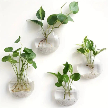 GLASSIO™ Wall Vase – Clear Hydroponic Planter for Indoor Plants - 