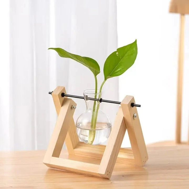 GRENEA™ Hydroponic Planter – Wooden Stand with Glass Vases - 