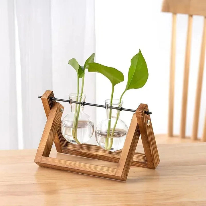GRENEA™ Hydroponic Planter – Wooden Stand with Glass Vases - 