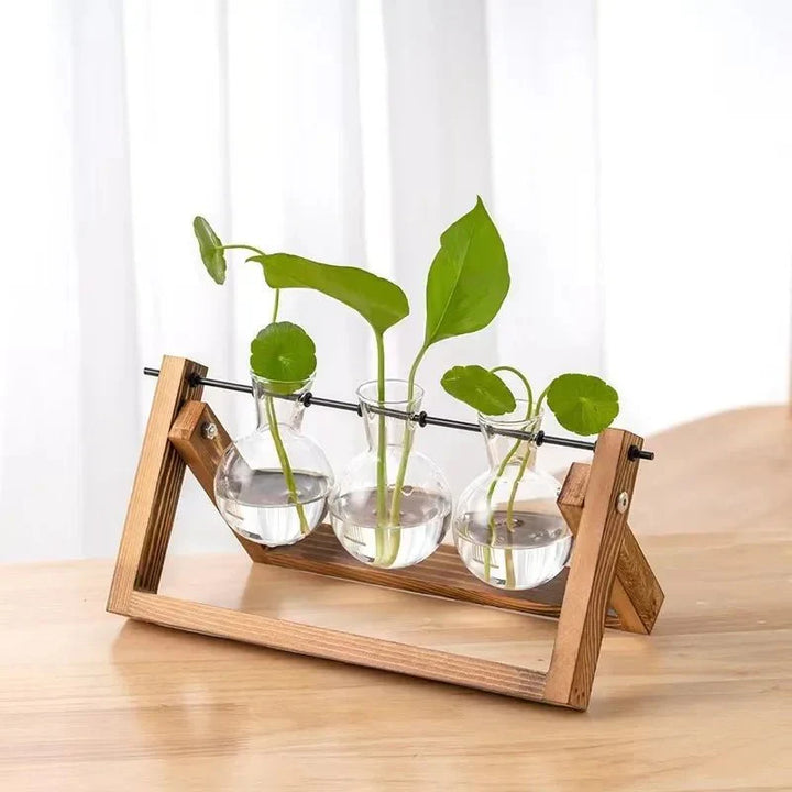 GRENEA™ Hydroponic Planter – Wooden Stand with Glass Vases - 