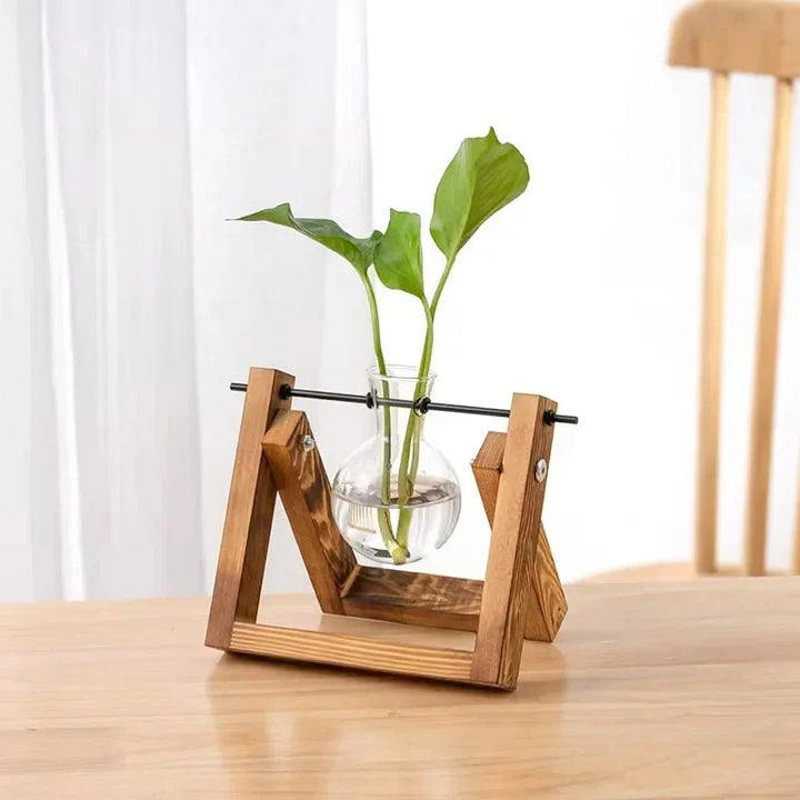 GRENEA™ Hydroponic Planter – Wooden Stand with Glass Vases - 