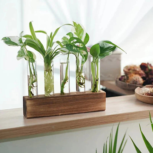 JERLIN™ Hydroponic Planter – Wooden Stand with Test Tube Vases - 