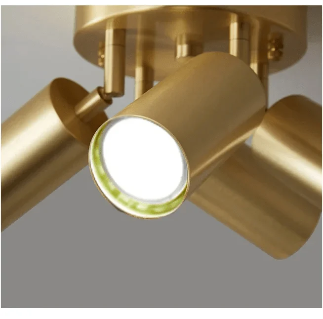 MANIGOLDO™ LED Ceiling Light – Adjustable Multi - Head Fixture - 