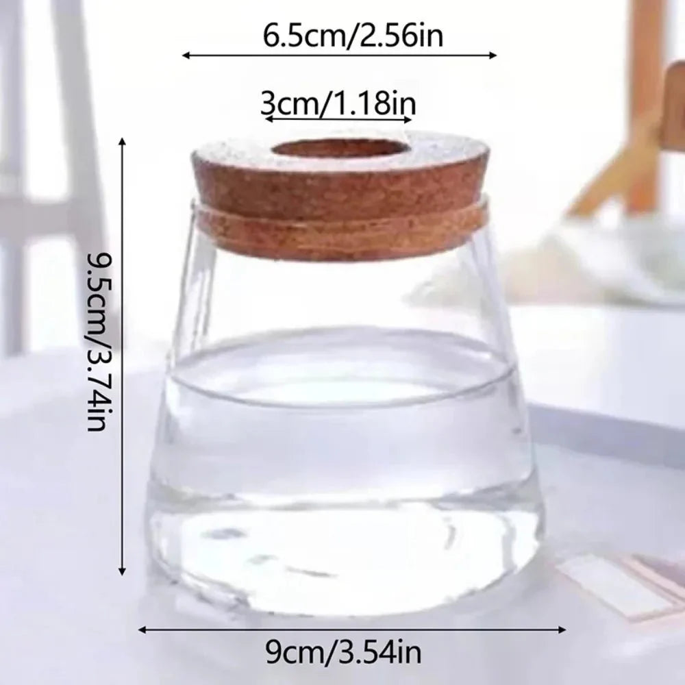 MARLO™ Hydroponic Glass Vase – Minimal Hanging Planter - 