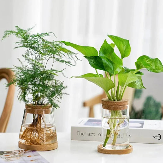 MARLO™ Hydroponic Glass Vase – Minimal Hanging Planter - 