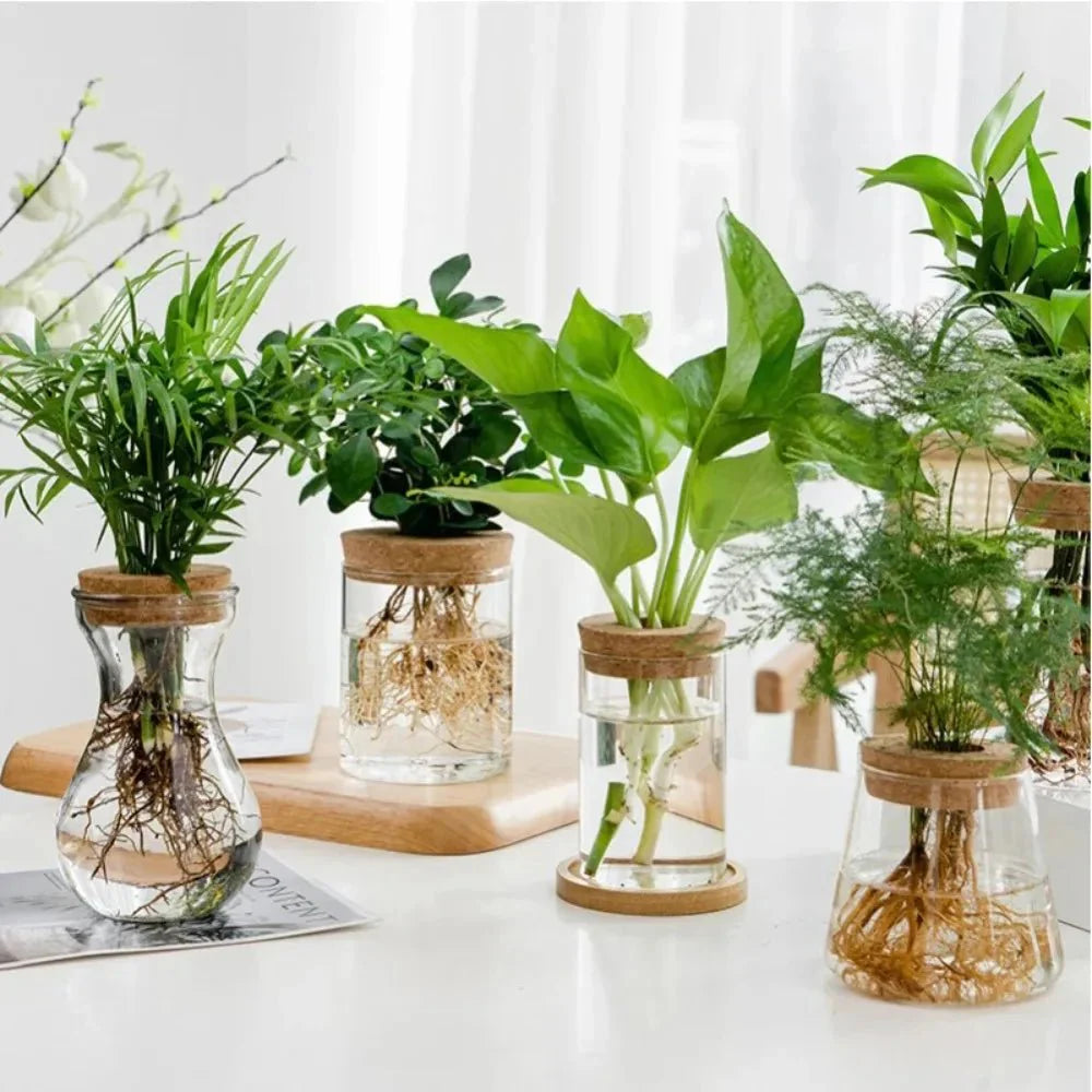 MARLO™ Hydroponic Glass Vase – Minimal Hanging Planter - 