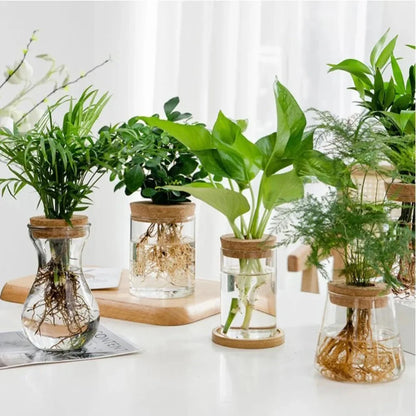 MARLO™ Hydroponic Glass Vase – Minimal Hanging Planter - 