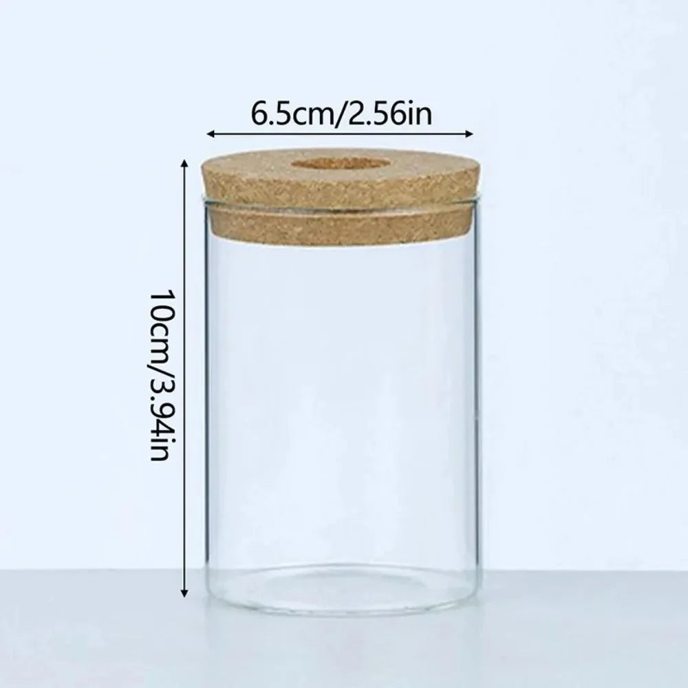 MARLO™ Hydroponic Glass Vase – Minimal Hanging Planter - 