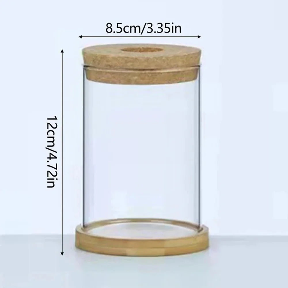 MARLO™ Hydroponic Glass Vase – Minimal Hanging Planter - 