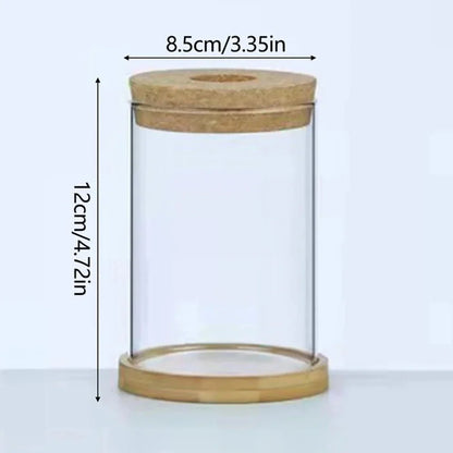 MARLO™ Hydroponic Glass Vase – Minimal Hanging Planter - 