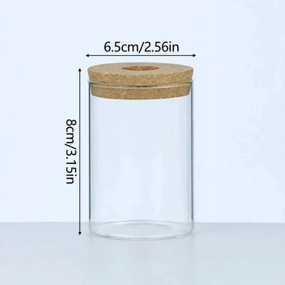 MARLO™ Hydroponic Glass Vase – Minimal Hanging Planter - 