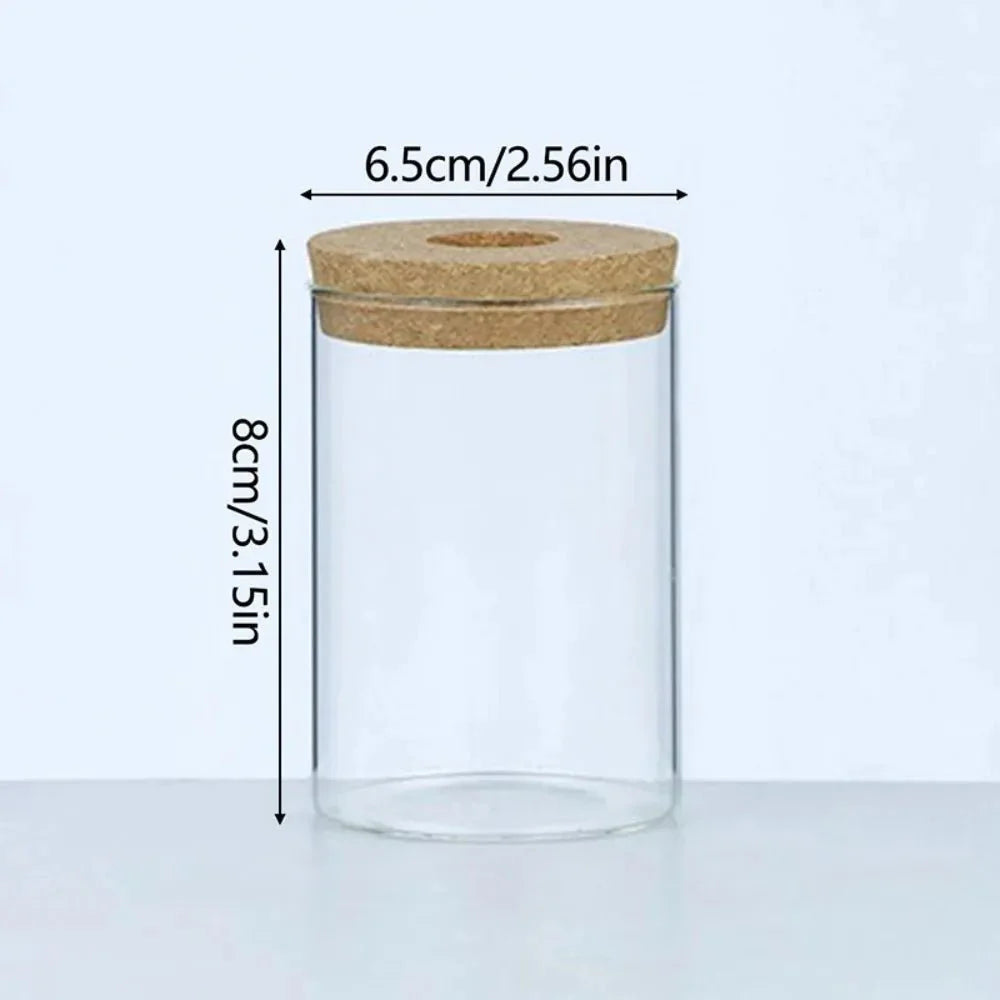 MARLO™ Hydroponic Glass Vase – Minimal Hanging Planter - 